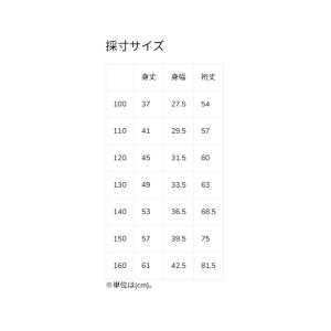 クイックシルバー QUIKSILVER キッズ...の詳細画像5