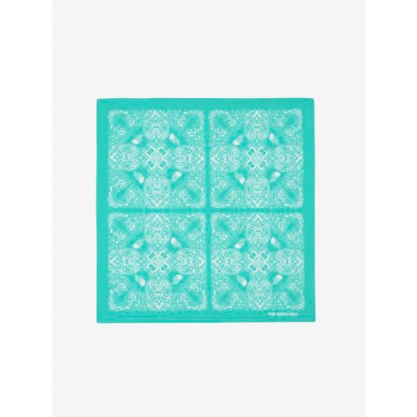 ザ・ノース・フェイス THE NORTH FACE 小物 バンダナ GEODOME(R) PAISL...