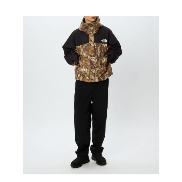 ザ・ノース・フェイス THE NORTH FACE メンズ アウトドア トレッキング ウェア ジャケ...