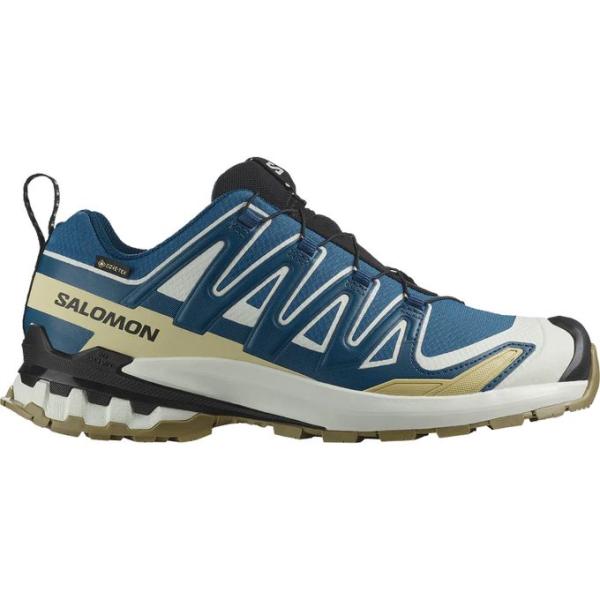 サロモン SALOMON メンズ トレッキング トレイルランニング シューズ XA PRO 3D V...