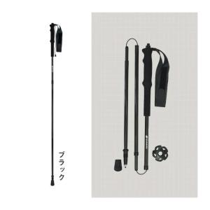 シナノ SINANO メンズ レディース 登山...の詳細画像1