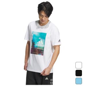 アディダス adidas メンズ スポーツ ウェア トップス 半袖 M PALM TREE Tシャツ KUE39 【2024SS】｜spopia