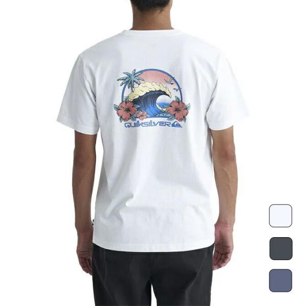 クイックシルバー QUIKSILVER メンズ スポーツ カジュアル ウェア トップス 半袖 Tシャ...