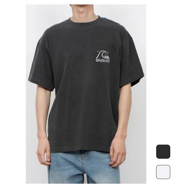 クイックシルバー QUIKSILVER メンズ スポーツ カジュアル ウェア トップス Tシャツ 半...