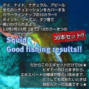 エギ 3.5号 3号 3.0号 2.5号 セッ...の詳細画像1