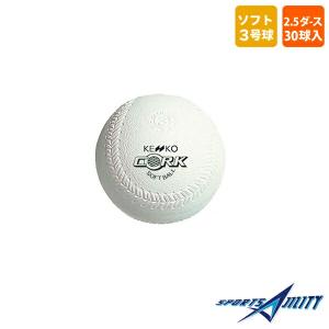 2024 WORLD SERIES ワールドシリーズ 優勝記念球ボール チャンピオン