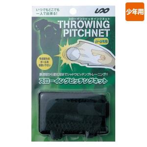 野球 自主トレ 室内練習 シャドー ピッチング スローイングネット