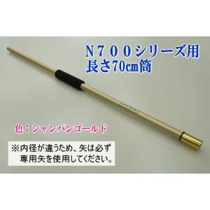 健康レクリエーション吹き矢｜マグネット吹矢用、矢6本セット 腹式呼吸