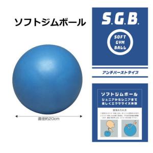 ジムボール バランスボール 小さい 20cm アンチバースト 耐荷重100kg 骨盤底筋を鍛える インナーマッスル 尿失禁予防 介護 ALKA-SGB｜sports-otani