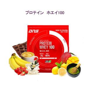 プロテイン　ホエイ100 DNS　1050ｇ｜sports-otani