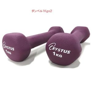 XYSTUS ダンベル 2kgx2個セット ラバーコーティング H9060 トーエー
