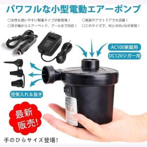 電動エアーポンプ 空気入れ 空気抜き DC12V/AC電源110V