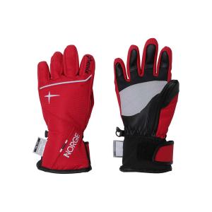 PHENIX(フェニックス) PS8G8GL81 Norway Alpine Team Boys Gloves ジュニア スノーグローブ｜sports