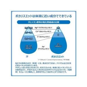 オオツカ OOTSUKA POCARI 1L ...の詳細画像2