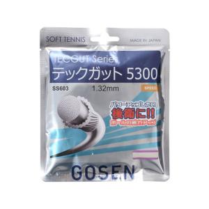 ゴーセン GOSEN ＴＥＣＧＵＴ ５３００ ストリングス ソフトテニスストリングス｜sportsauthority