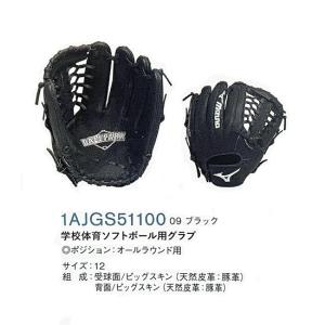 MIZUNO（ミズノ） 左利き 左投げ用 ソフトボールグラブ/グローブ