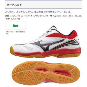 ゲートスカイ　ホワイト×ブラック×レッド　ミズノバドミントンシューズ　エントリーモデル　現品限り｜sportsguide