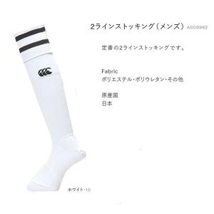 2ラインストッキングストッキング 大きいサイズ...の詳細画像1