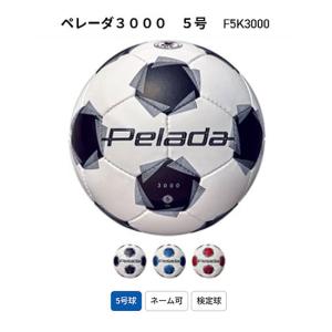 vantaggio 4000 ヴァンタッジオ4000 5号球 F5N4000 モルテン 一般