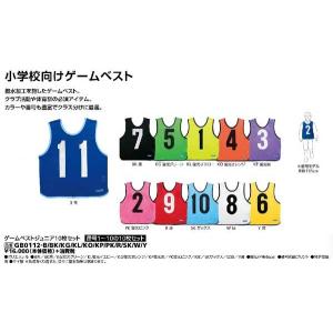 モルテン ビブスジュニア用（小学生用）10枚セット molten ゲーム