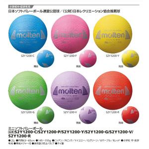 ゼット（ZETT） ヘルスバレーボール 日本ヘルスバレーボール連盟公認