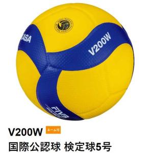 MIKASA（ミカサ） V400W-L 軽量4号球 検定球 18枚パネル 小学生用