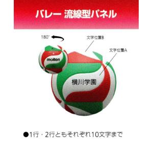 molten（モルテン） チーム名入り小学生用4号軽量試合球 V4M5000L