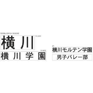 個人名入りフリスタテック5号試合球 モルテン 一般 大学 高校用バレーボール 1パネルネーム 代引き不可 Www Mohmmadiyon Com