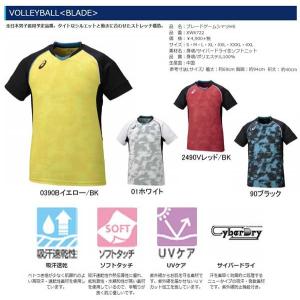 MIKASA（ミカサ） バレーネット バレーボール 練習用【ミカサネット