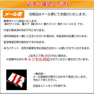 モルテン 空気針 MCAR2の詳細画像1