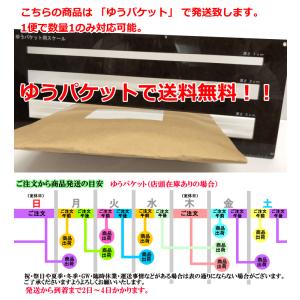 カンタベリー ジャージ メンズ 半袖 ラグビー...の詳細画像3