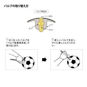 ミカサ MIKASA バルブ 交換用 10個入...の詳細画像1