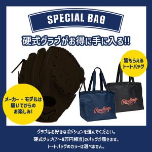 キャピタルスポーツ 野球グローブ  必ず硬式グラブが入ったスペシャルバッグ（7〜8万円相当）｜sportsplaza