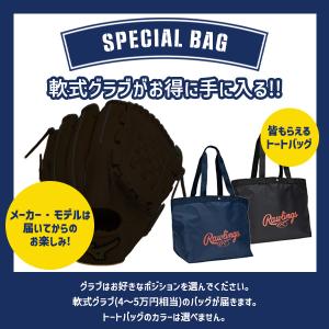 キャピタルスポーツ 軟式野球グローブ  必ず軟式グラブが入ったスペシャルバッグ『4〜5万円相当』｜sportsplaza