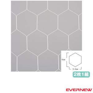 エバニュー サッカー設備・備品 一般サッカーゴールネットS115 亀甲タイプ 2枚1組 EKD841