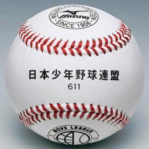 MIZUNO - 硬式ボール 62球 MIZUNO ミズノ公式 サイン用ボール 硬式ボールサイズ : ミズノ