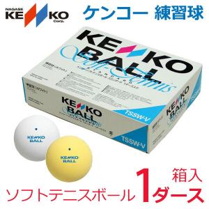 送料無料》アカエムプラクティス ソフトテニスボール 練習球 1箱(1