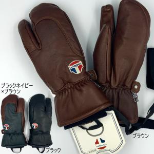 HESTRA（ヘストラ） スキーグローブ ゴアテックス アルパイン ショート