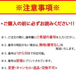 molten モルテン バレーボール ビブス ...の詳細画像2