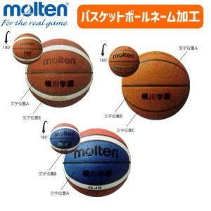 GOSEN ゴーセン バドミントン シャトル GFN160 10ダース 練習球
