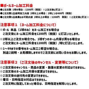 モルテン バレーボール ネーム 加工 molt...の詳細画像4