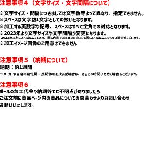 ネーム加工付 モルテン molten バレーボ...の詳細画像5