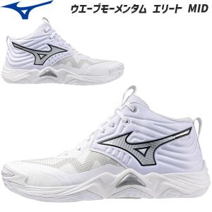 MIZUNO（ミズノ） WAVE MOMENTUM 2 ウエーブモーメンタム 2 V1GA211254
