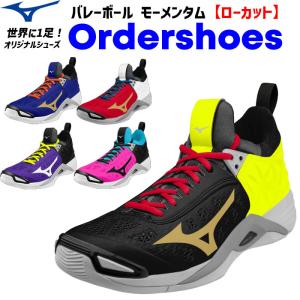 MIZUNO ミズノ バレーボールシューズ オーダーシューズ ウェーブ