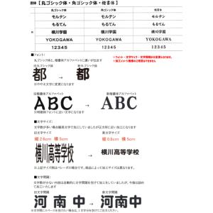 ネーム加工付 モルテン molten バレーボ...の詳細画像2