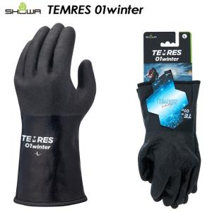 テムレス TEMRES 01winter