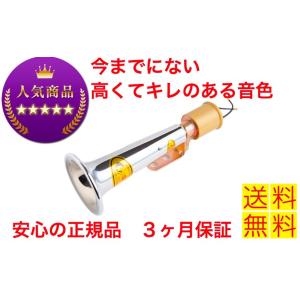 Gursoy ホーン 車 ヤンキーホーン エアーホーン シフレットホーン