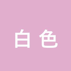 パナソニック ケース販売特価 FLR40S・W...の詳細画像2