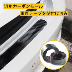 カーボンモール ドア サイド モール & ステップ エアロ