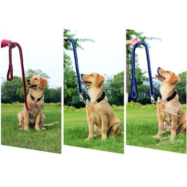 パラコード ハーフチョークカラー＆リードセット (首周り：30〜34cm) レッド×ブラック・ブルー...